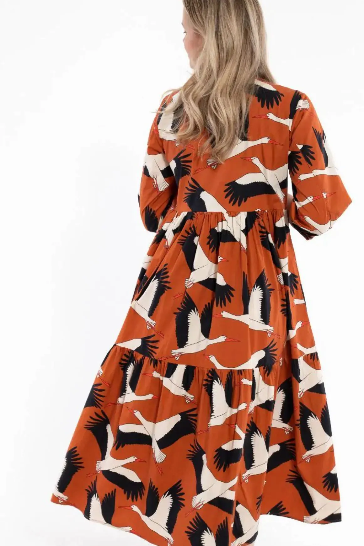 Danegoodie Dress Rust Big Stork
