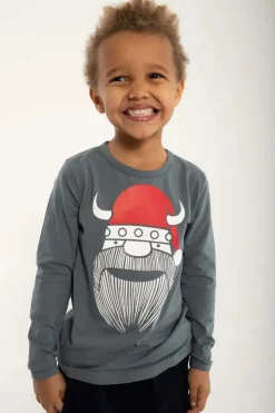 Danenorthpole Tee Grey Nisseerik