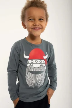Danenorthpole Tee Grey Nisseerik