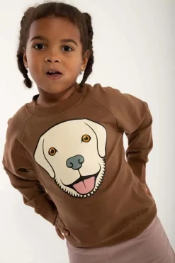 Dyrbellow Sweat Brown Beige Retriever