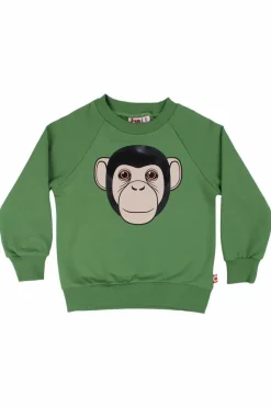 Dyrbellow Sweat Fall Jungle Chimp