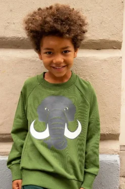 Dyrbellow Sweat Noos Safari Mammut