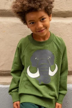 Dyrbellow Sweat Noos Safari Mammut
