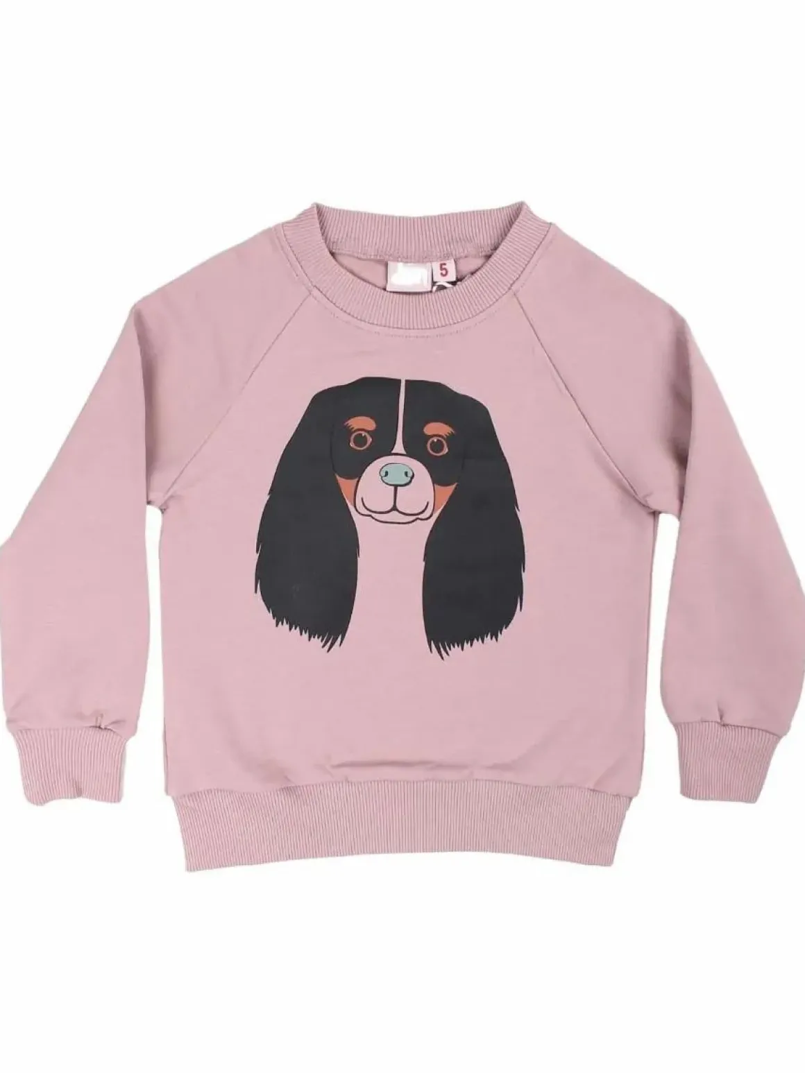 Dyrbellow Sweat Vintage Rose Cavalier