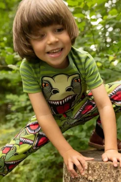 Dyrgrowl Tee Aop/Strib Army/Olive T-Rex