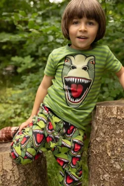 Dyrgrowl Tee Aop/Strib Army/Olive T-Rex