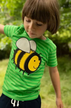 Dyrgrowl Tee Aop/Strib Spring Green/Bright Green Bi