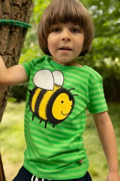 Dyrgrowl Tee Aop/Strib Spring Green/Bright Green Bi
