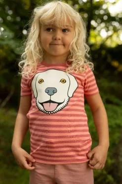Dyrgrowl Tee Aop/Strib Warm Rose/Coral Retriever