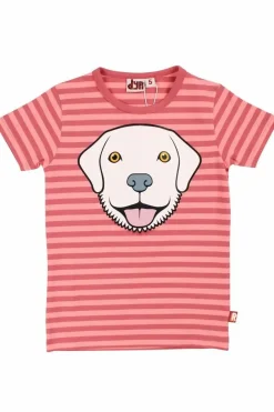 Dyrgrowl Tee Aop/Strib Warm Rose/Coral Retriever
