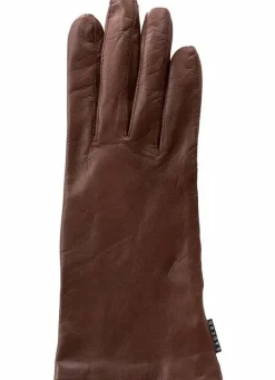 Hestra Gaucho Nellie Chestnut